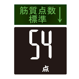 �^�j�^�@�f���A���^�C�v�̑g���v�C���i�[�X�L�����@RD-501