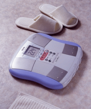 �̑g���vBC-525�ő̎��b�`�F�b�N