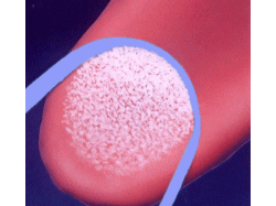 ��ۏ����@��N���[�i�[�@�N���[���^���O