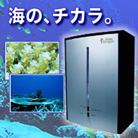 ��C����@�E��C������