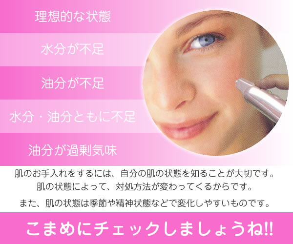 �������v�E�����`�F�b�J�[��SKIN�@CHECKER�i�X�L���`�F�b�J�[�j