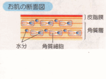 �������v�@�Ń`�F�b�N