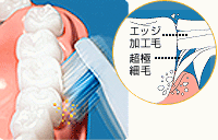 �I�������@���g���d�����u���V�@HTB-902