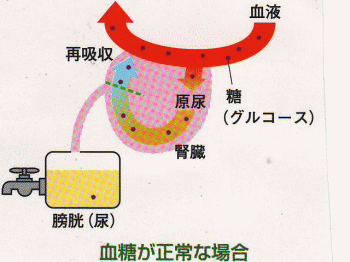 �^�j�^ �A���v �t�f�|�P�Q�O