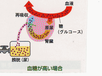 �^�j�^ �A���v �t�f�|�P�Q�O