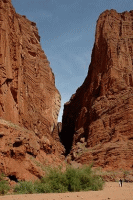 �V���N���[�h�@�Ɏ�