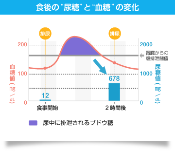 �E�^�j�^�@�A���v�@�t�f�|�P�Q�O