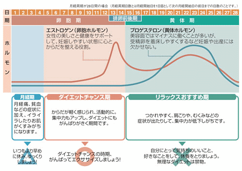 �̑g���v�@�_�C�G�b�g�����@�̎��b�`�F�b�N