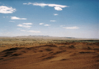 �V���N���[�h�@���t�@