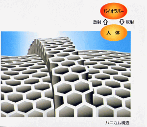 �o�C�I���o�[�̃n�j�J���\��