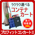 �v���t�B�b�g�@�R���J�[�gII