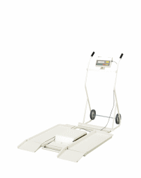 �^�j�^�@�Ԃ����p�̏d�v�@�o�v�b�|�U�Q�O